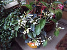 DSC09651