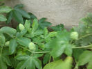 4-5 m