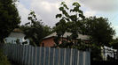 2013-08-28_12-10-27_173