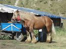 DSC07568