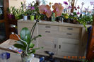 DSC_0070 (2)