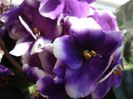 DSC05400