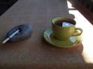 CEAI SI RESTUL ECOLOGICELOR