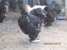 92354028_DYKHYPY