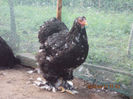 92354048_OHYHBZU