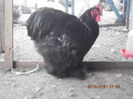 92354356_TZDIYUE