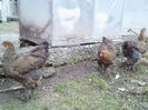 IMG025(2)