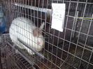 IMG_20130901_104207