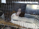 IMG_20130901_103849