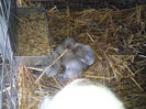 IMG_20130901_103900