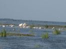 Delta Sulina