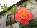 IMG_8825