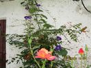 IMG_8822