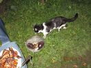 IMG_8681