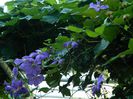 DSCN0943