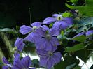 DSCN0944