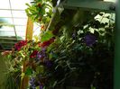 DSCN0958
