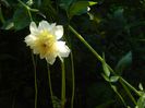 DSCN0964