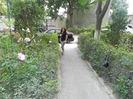 DSCN2400