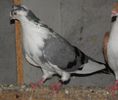 P9010148