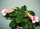 DSC09183