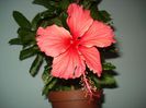 DSC09159
