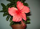 DSC09160