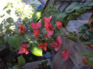 DSC09708