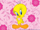 Tweety-Bird-Wallpaper-tweety-bird-2656641-1024-768