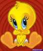 how-to-draw-baby-tweety_1_000000011105_5