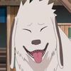 Akamaru Inuzuka