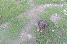 SAM_3587