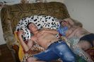 Изображение 233