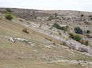 DSCF1608
