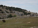 DSCF1609