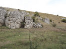 DSCF1617
