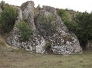 DSCF1620