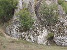 DSCF1626