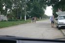 Изображение 401