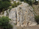 DSCF1649