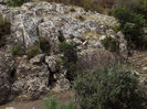 DSCF1640
