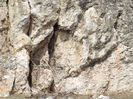 DSCF1642