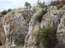 DSCF1646