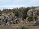 DSCF1647