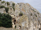 DSCF1644