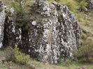 DSCF1655
