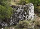DSCF1656