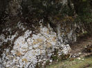 DSCF1657