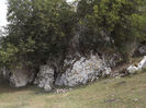 DSCF1658