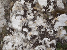 DSCF1661